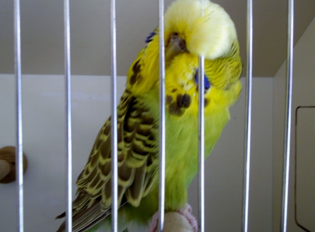 2015 019.jpg